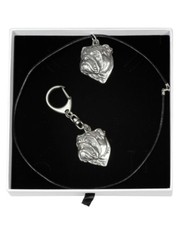 Bulldog Inglese - Set - Il