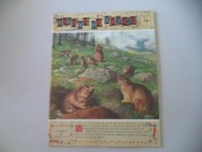 TUTTE LE FIABE - FRATELLI