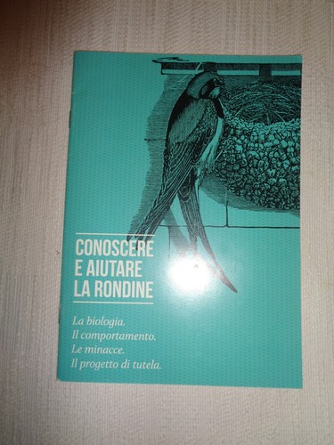 Conoscere aiutare rondine - e, la