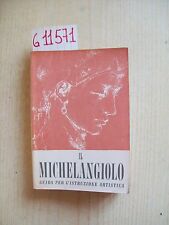 IL MICHELANGIOLO: GUIDA PER