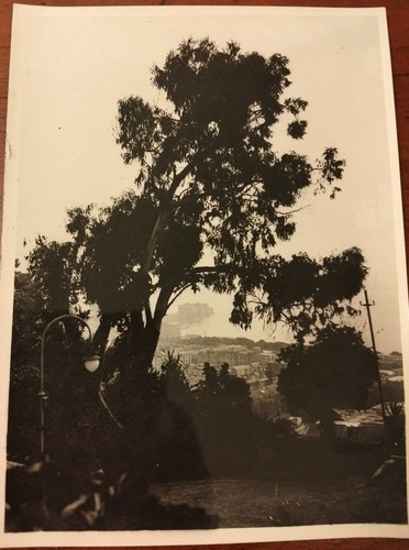 1920 fotografia napoli veduta - fotografia,
