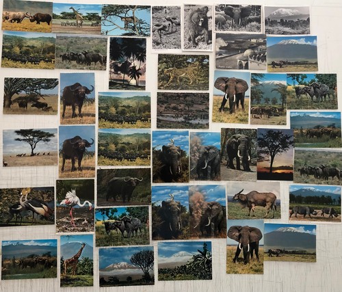 Lotto cartoline africa - lotto,