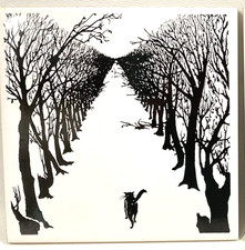 Il gatto che camminava da solo