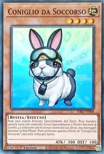 Coniglio da Soccorso - Super