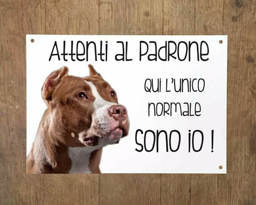 Pitbull attenti padrone - pitbull,