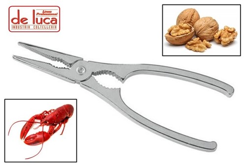 Pinza per crostacei noci in - per, e