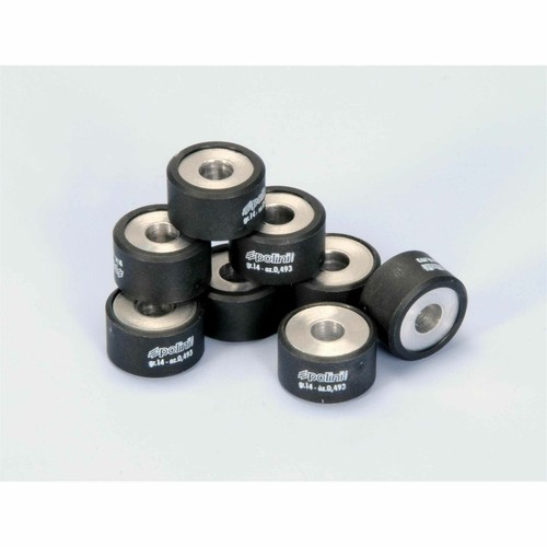 Variator rollers polini 25x15 - rollers,