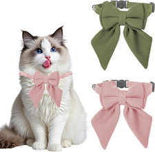 2 Pezzi Collare Cane Con