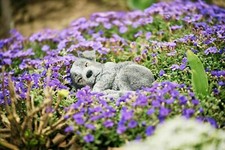 Statua in pietra Jack Russell