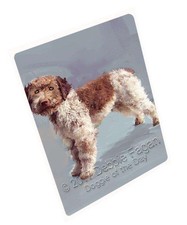 Lagotto Romagnolo Cane Arte