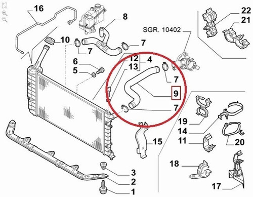 Tubo flessibile radiatore - tubo,