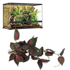 (6)Finta Vite Pianta da