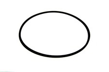 CINTURA PER SONY WM-EX10