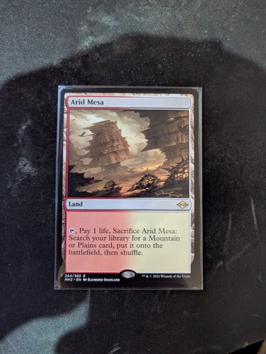 Arid mesa 244 mtg - mesa,