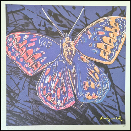 Andy warhol farfalla - warhol, *