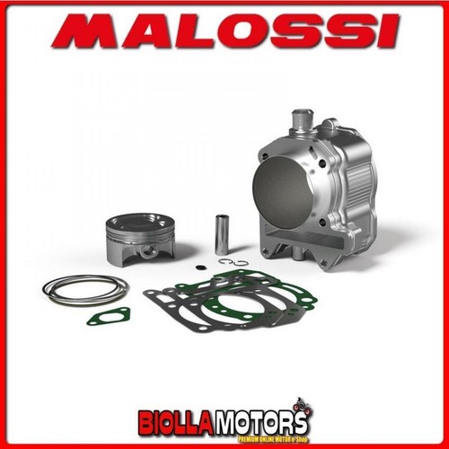 3113924 cilindro malossi - malossi, 270cc