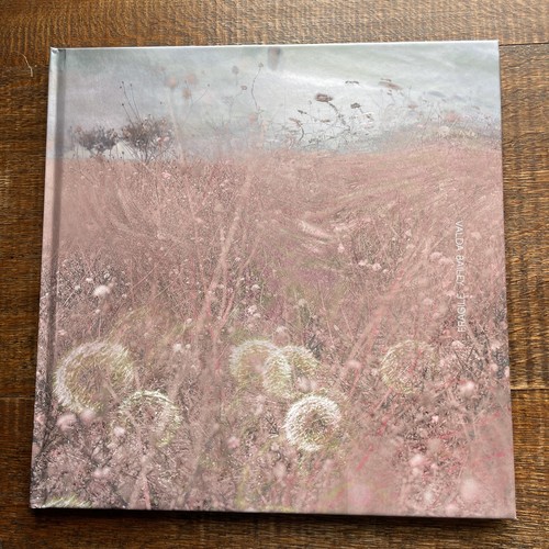 Fragile valda - fragile, (discovery)