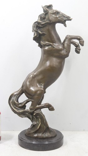 Cavallo allevamento grande - allevamento,