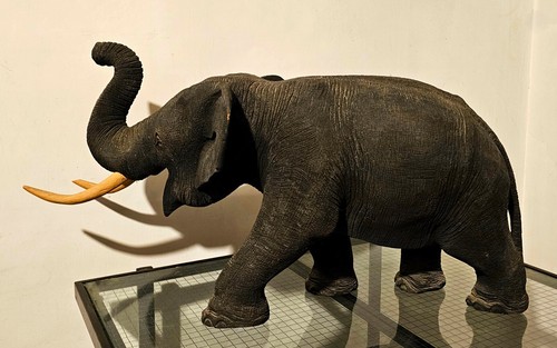 Elefante scultura antica - -scultura,