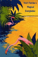 Florida Magical Everglades