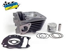 Cilindro Completo SGR 95011008