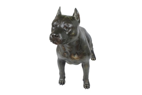 Staffordshire bull terrier - staffordshire, i