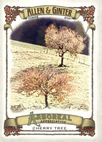 2021 topps allen ginter - &,