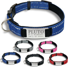 Gruppo  - Collare Cane