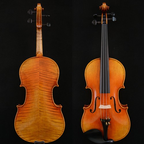 Proud violin stradivari - proud,