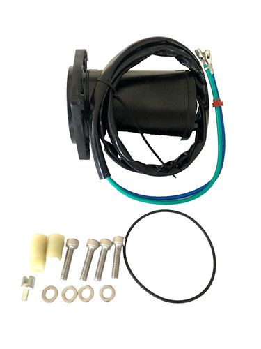 Motore evinrude tec etec - evinrude,