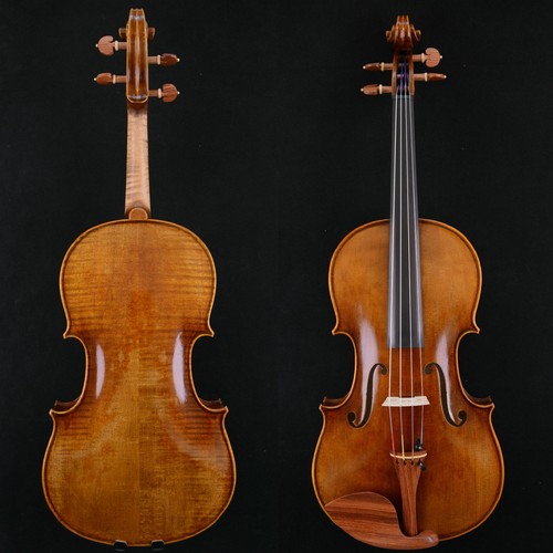 Viola stradivari - viola,