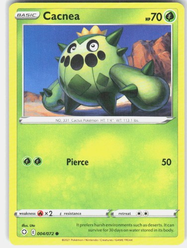 Cacnea destino lucente - cacnea,