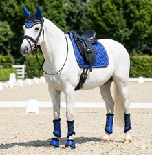 Set di cuscinetti per sella