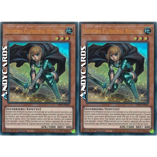 Signora guerriera recluta - guerriera, 2x