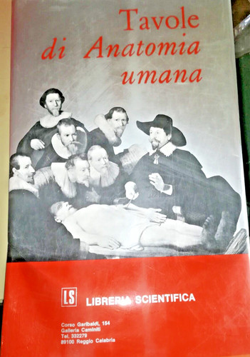 Tavole anatomia umana - tavole, 24