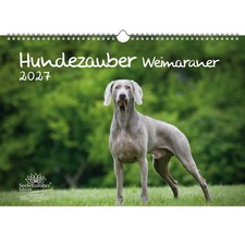 Magia per cani weimaraner - magia, din