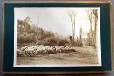 Foto Antica CDV Cab Fine XIX