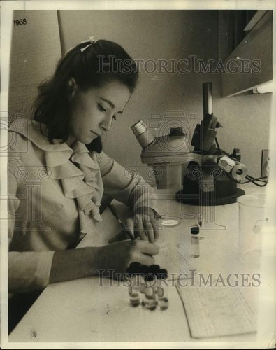 1968 stampa foto linette - 1968,
