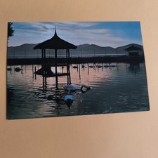 TORRE DEL LAGO PUCCINI -