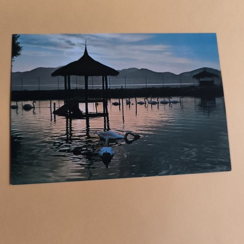 Torre del lago puccini - torre,