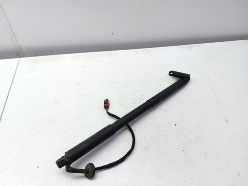 Puntone portellone elettrico - portellone,