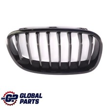 Griglia paraurti anteriore BMW