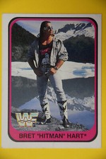Bret "Hitman" Hart - 1991 WWF
