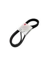 Coppia Cinghie Distribuzione Motore Ducati Monster 620 695 73710051A