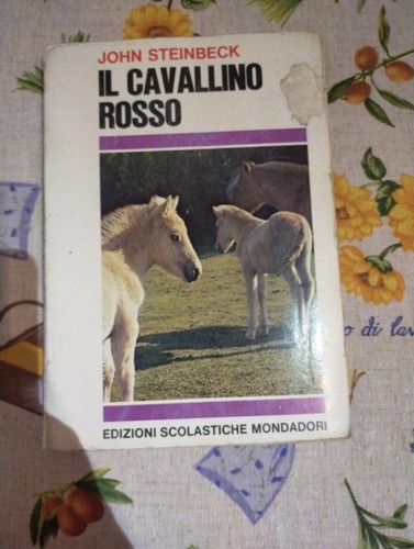 Cavallino rosso john - il,