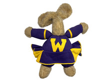 Vtg 60s 70s WASHINGTON HUSKIES