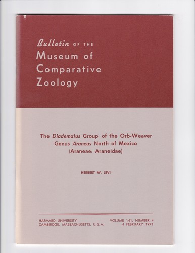 Diadematus group orb weavers - group, orb-