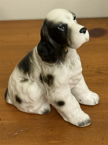 Cucciolo cane seduto springer - seduto,