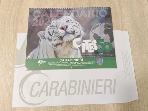Calendario 2026 cites - calendario,