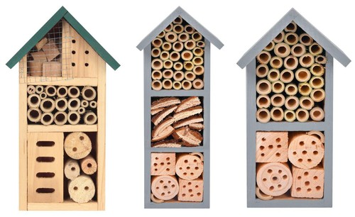 Casetta legno per - in, insetti